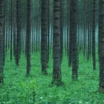 Unique and Thoughtful Gift Ideas for Wife to Make Her Feel Special