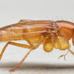 NBA Live Stream Reddit: Best Ways to Watch NBA Games Online