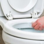 Ginny and Georgia Season 3: Release Updates, Cast, and Plot Details